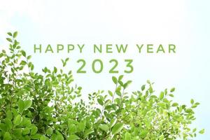 'HAPPY NEW YEAR 2023' in green color with ficus branches and leaves background, concept for greeting invitation card and happy new year 2023 concept. photo