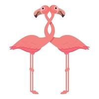Flamingo couple icon cartoon vector. Tropical bird vector