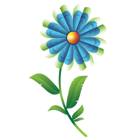 flower illustration design for decoration png