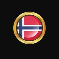 Norway flag Golden button vector