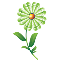 flower illustration design for decoration png