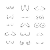 woman breast doodle illustration. Different kinds of woman boob and tits vector