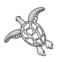 Cute sea turtle. Vector illustration in the style of a doodle