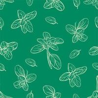 Basil Pattern. Italian herbs.A sprig of marjoram vector