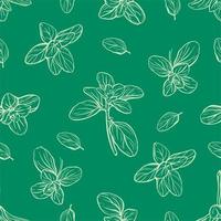 Basil Pattern. Italian herbs.A sprig of marjoram vector