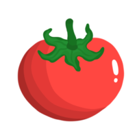 ilustración de vegetales de tomate fresco png