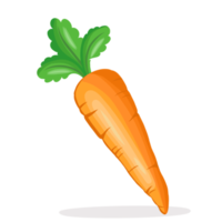 ilustración de vegetales de zanahoria sola fresca