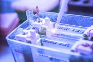 Western blot analysis or protein analysis photo