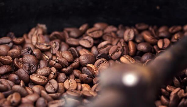 Roasted Coffee Beans in a Roasting Machine photo