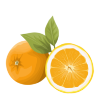 arquivo png de fruta laranja