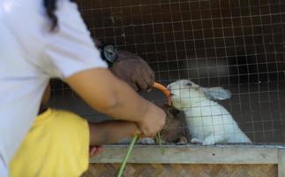 Asian-African American family rest on vacation by bringing children to the zoo photo