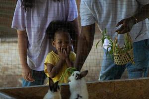 la familia asiático-afroamericana descansa de vacaciones llevando niños al zoológico foto