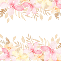 fleurs de pêche aquarelle png