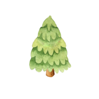 sapin de noel aquarelle png