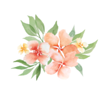 Watercolor peach flowers png