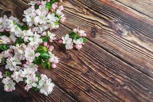 sakura floreciendo sobre un fondo oscuro de madera rústica. fondo de primavera con ramas de albaricoque florecientes y ramas de cerezo foto