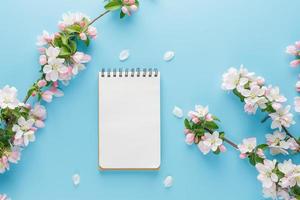 Blooming spring sakura on a blue background with notepad space for a greeting message. The concept of spring and mother's day. Beautiful delicate pink cherry flowers in springtime photo