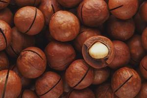 Texture of organic macadamia nut fresh natural fruit shelled one nut - vintage filter photo