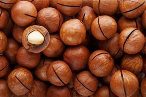 Texture of organic macadamia nut fresh natural fruit shelled one nut in full frame close-up view photo