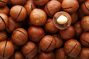 Texture of organic macadamia nut fresh natural fruit shelled one nut in full frame close-up view photo