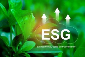 esg, ambiental, social y de gobierno para el desarrollo sostenible de la empresa empresarial organizacional.