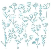 hand drawn botanical elements vector