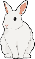 diseño de conejo blanco png