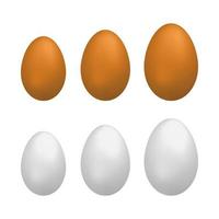 Set of natural eggs. vector