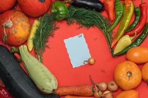 Vegetables are laid out around a sheet of paper and a pencil. Empty space for text. Vegetables, empty blank for recipe  on a red background. photo