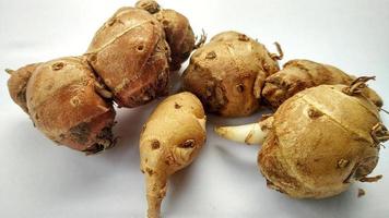 Kencur is used for spices for cooking photo