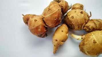 Kencur is used for spices for cooking photo