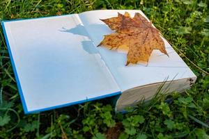 libro abierto con hoja de arce en un prado foto