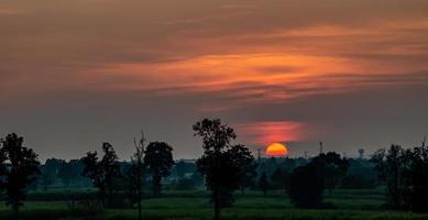 Forest Silhouette Sunset Orange Dusk Design Template Wallpaper Background photo