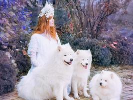 Hermosa joven pelirroja con un largo vestido blanco con tres samoyedos al aire libre foto