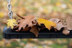 Close-up of a child's swing seat covered in wet leaves. There are leaves on the meadow in the background. There are drops of water on the swing. photo