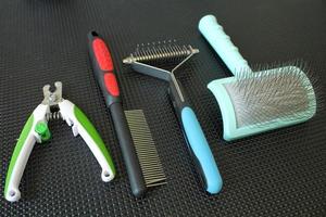 Set of professional instruments for grooming domestic animals in salon on black table background. Clippers, brushes, combs, scissors. Pet care and hygiene concept. Tools, equipment, accessories photo