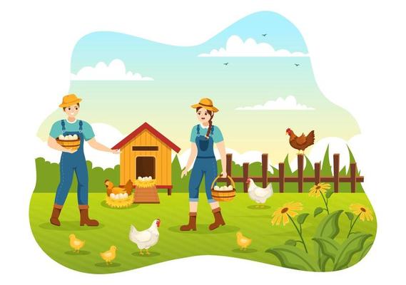 Poultry Farming with Farmer, Cage, Chicken and Egg Farm on Green Field Background View in Hand Drawn Cute Cartoon Template Illustration