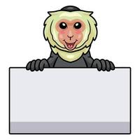 Cute little capuchin monkey cartoon with blank sign vector