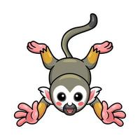 Cute little squirrel monkey cartoon vector
