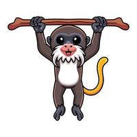 Cute little tamarin monkey cartoon hanging on tree vector