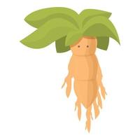 Mandrake icon cartoon vector. Alchemy leaf vector