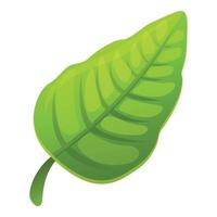 Tropical green leaf icon, cartoon style vector