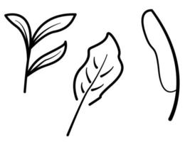 Leaf-shaped outline graphic design with several shapes suitable for complementary design needs vector