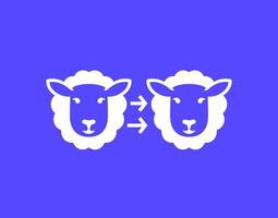 cloning icon with a sheep, vector
