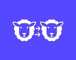 cloning icon with a sheep, vector