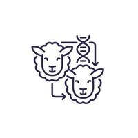 cloning line icon with a sheep vector