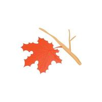 Maple leaf with branch icon, cartoon style vector