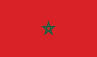 Morocco flag image vector