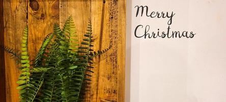 merry christmas and new year in minimalist decor with plant photo