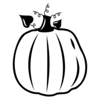 calabaza vegetal de otoño, contorno negro, ilustración vectorial aislada en estilo garabato vector